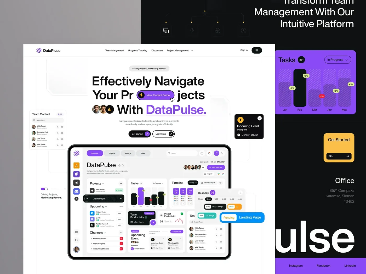 DataPulse project management website and dashboard with tasks, timeline and team views