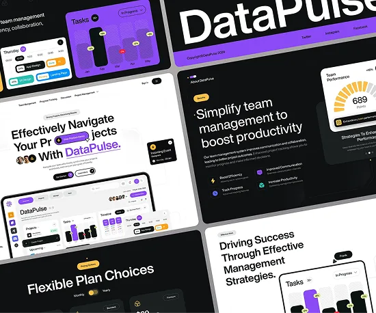 DataPulse team productivity website design