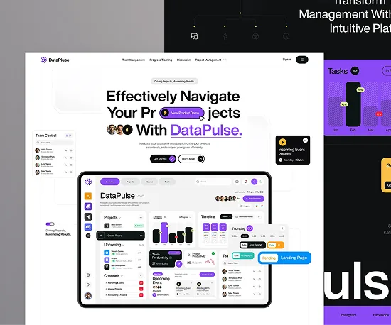 DataPulse project management landing page with tablet mockup